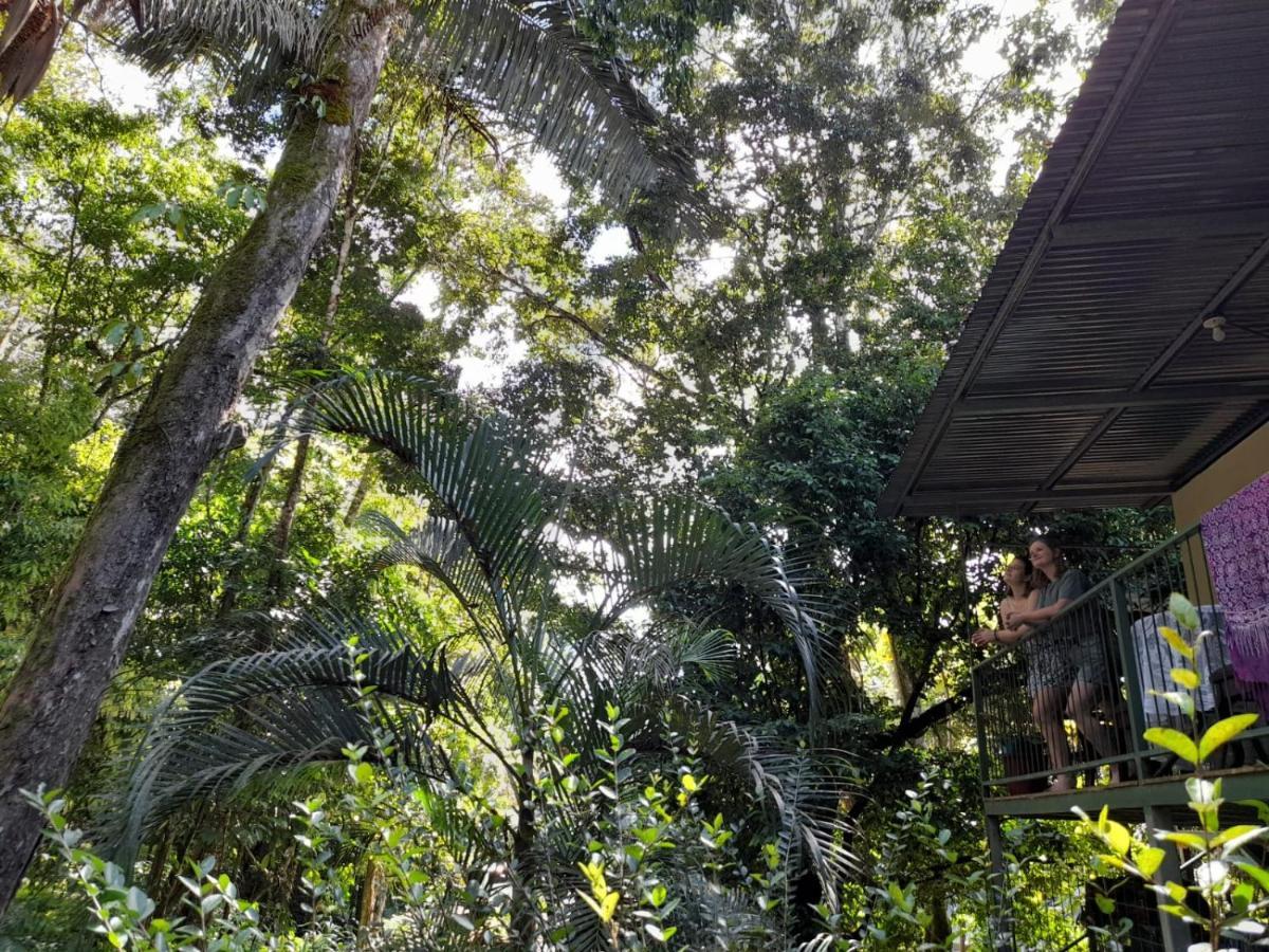 Casa Escondida Apartments Manuel Antonio Eksteriør billede