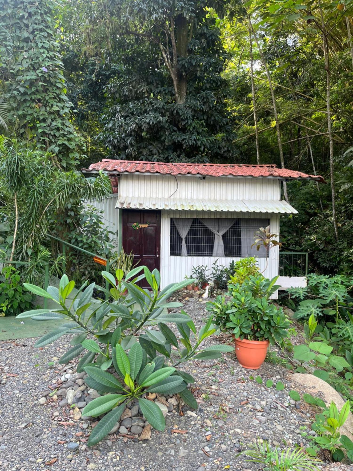 Casa Escondida Apartments Manuel Antonio Eksteriør billede