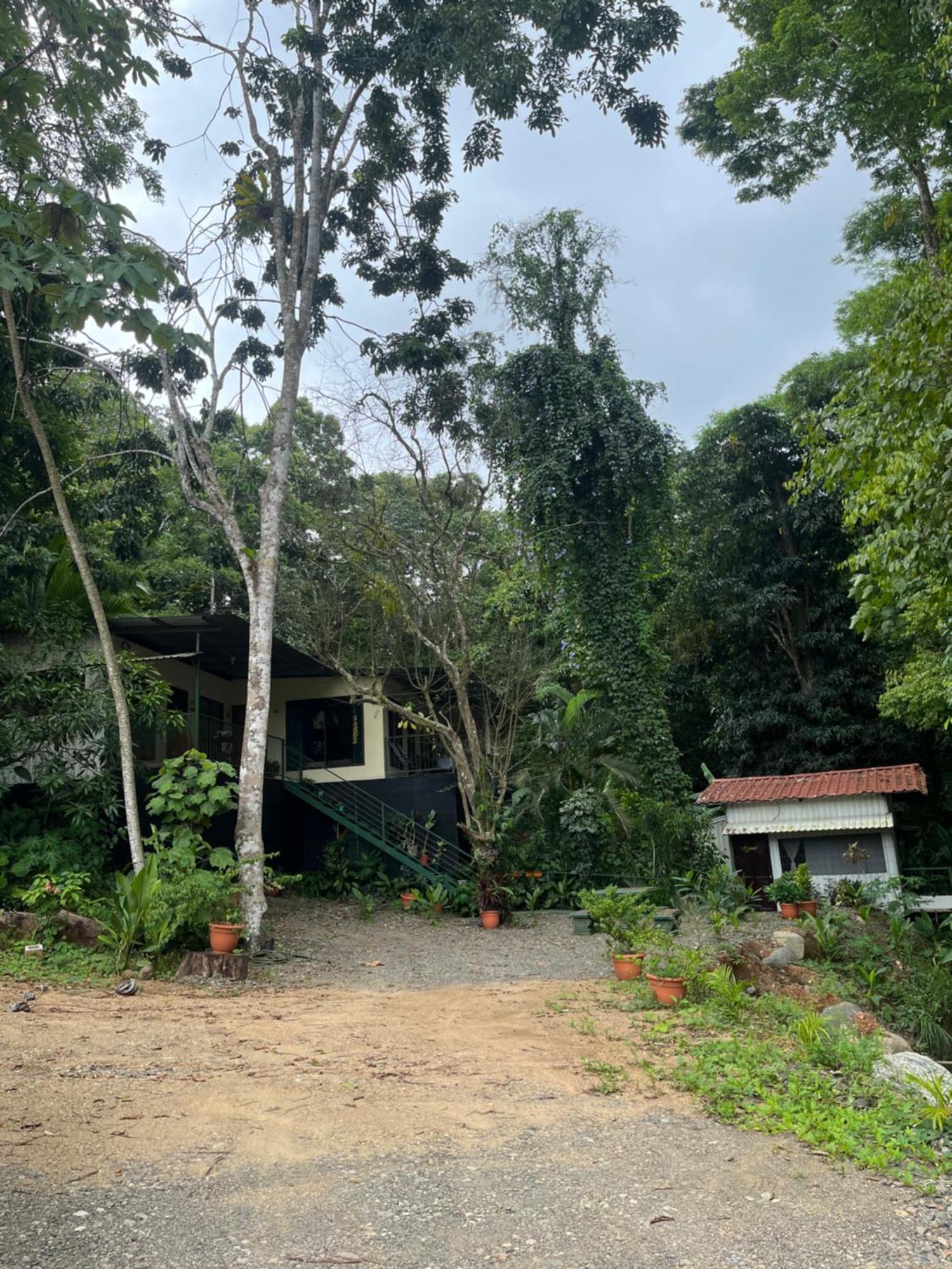 Casa Escondida Apartments Manuel Antonio Eksteriør billede
